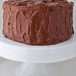 A round chocolate cake with thick, textured chocolate frosting sits on a white cake stand against a plain white background.