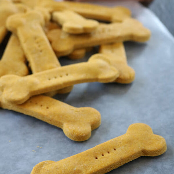 Bone-shaped dog biscuits are arranged on a sheet of parchment paper, with a bone-shaped cookie cutter in the background. The biscuits are golden brown and have small holes pricked in the center.